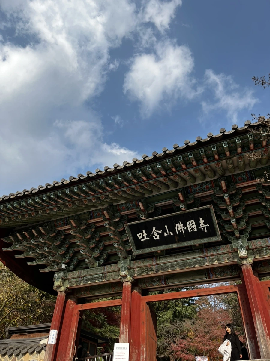 IMG%EF%BC%BF6721.jpg?type=w1