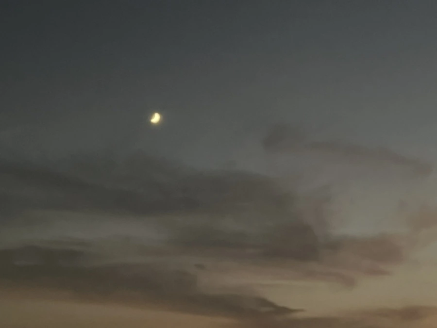 IMG%EF%BC%BF6672.jpg?type=w1