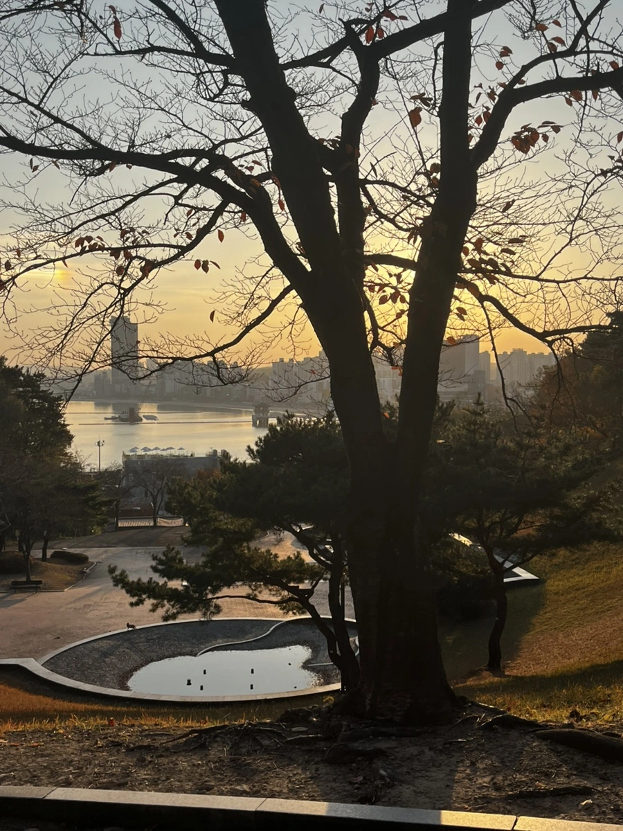 IMG%EF%BC%BF6638.jpg?type=w1