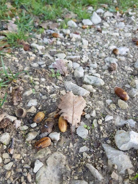 20171005_101848.jpg?type=w580