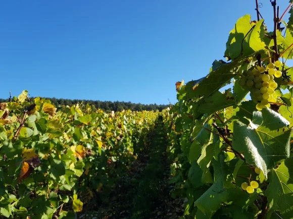 20171005_100022.jpg?type=w580