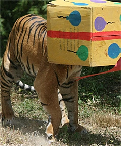 310a184699b84.jpg?w=390&amp;h=30000&amp;gif=true&amp;thumb=true