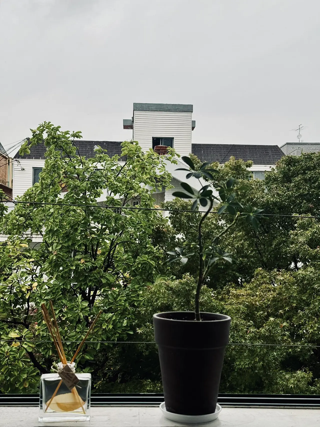 587131609_10239926616520785_3395879960985171842_n.jpg?stp=cp6_dst-jpg_tt6&_nc_cat=111&ccb=1-7&_nc_sid=833d8c&_nc_ohc=S3n0HzsniZcQ7kNvwEVpty-&_nc_oc=AdkzKijG0ZnrMXmuRTGjUvm3vnV3vff3R4VT1SoLRnAWdONaRixa5yMl0vO74L-SaOE&_nc_zt=23&_nc_ht=scontent-icn2-1.xx&_nc_gid=TjHu0Q09hJsvhULwPnBuNg&oh=00_Afh7gHsf-coS4h2OlkP_jhtH0OWJe4-OqcxUwhDZpP-Wug&oe=69245102