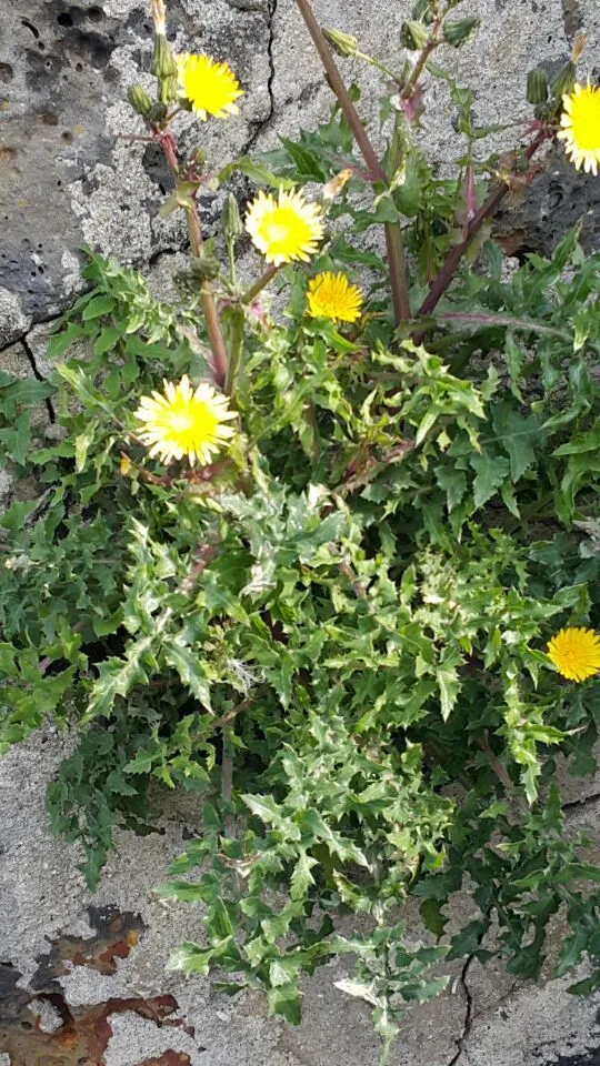 26668338588EAC0C020D71