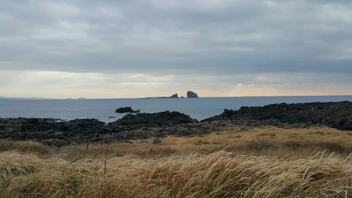 23237333588EAC08274D91