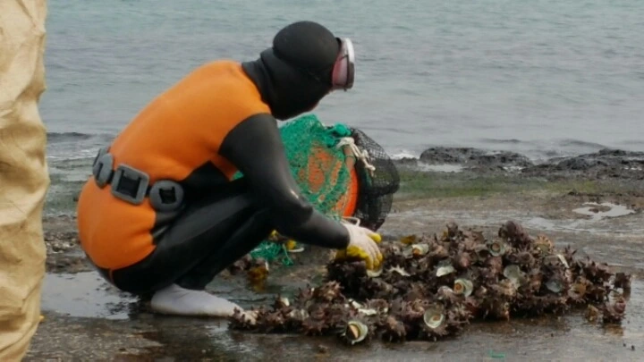 2743A938588EAC2D13098E