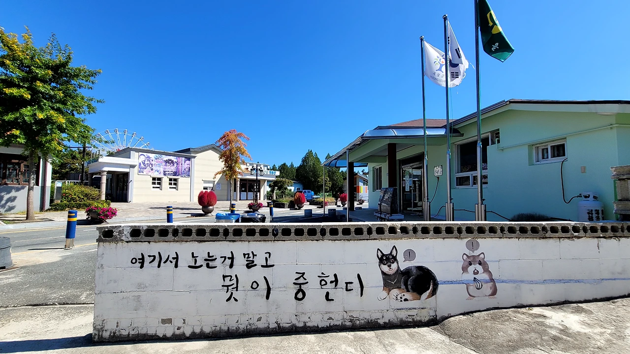 2-뭣이 중헌디 담벼락.heic