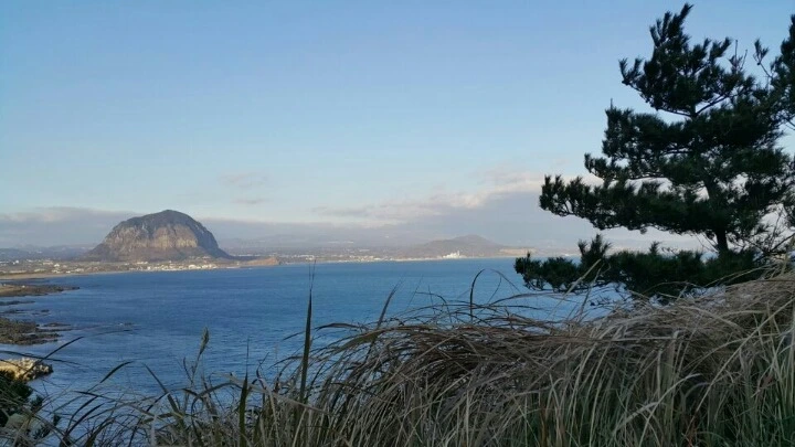 25486538588EAC233C055A