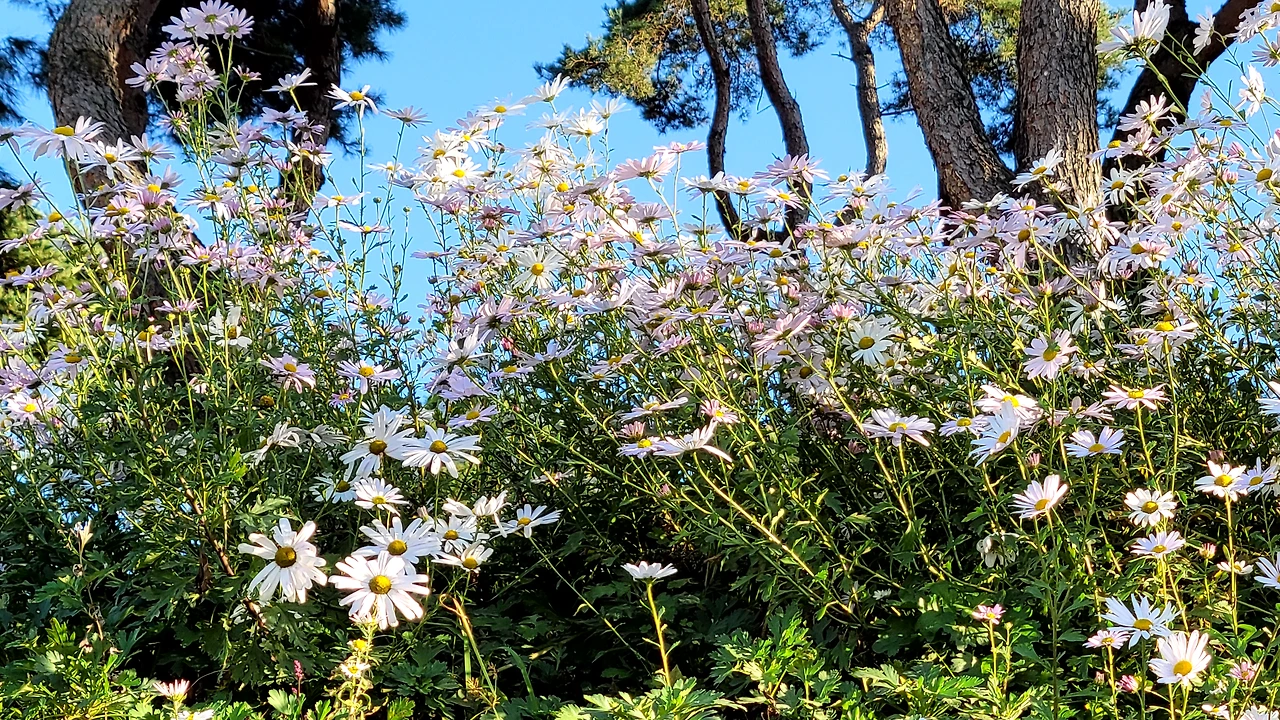 9-구철초동산 .heic