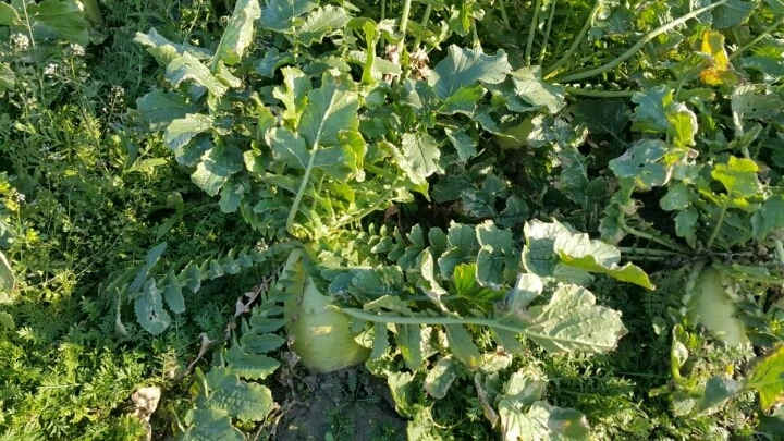 265C7F3B588EAC022C88CD