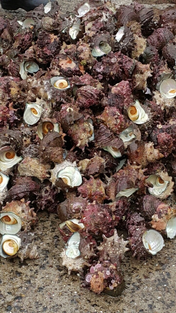 2773973A588EAC2C126176