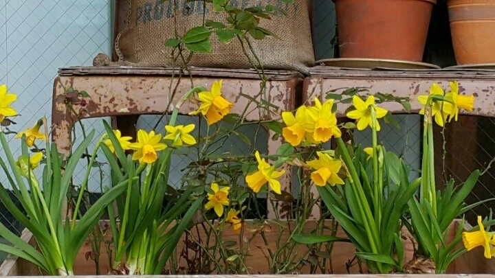 273AA137588EAC0D18F584