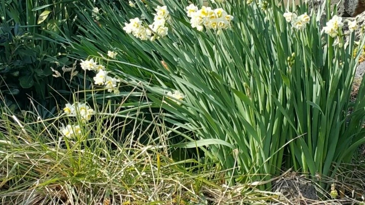 2659103A588EAC332C5012