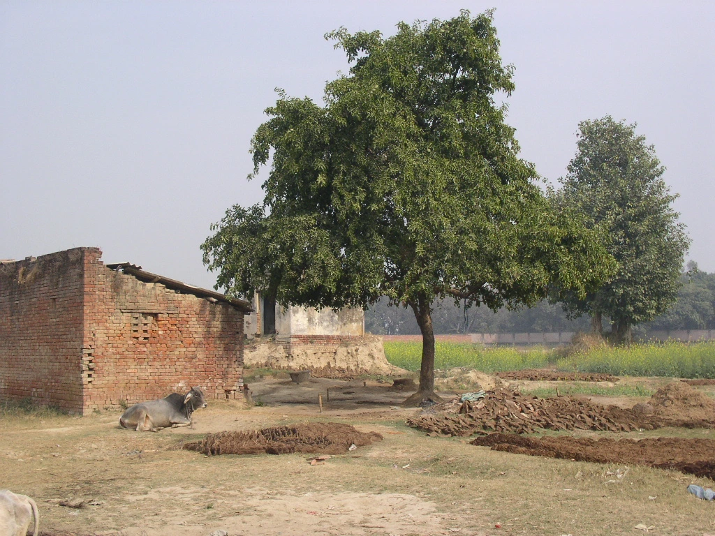 P1010096 - 복사본.JPG