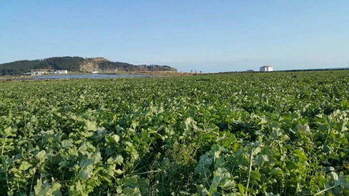 225EA236588EAC032D7CDA