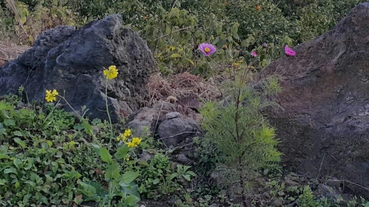 2533833A588EAC2701278A