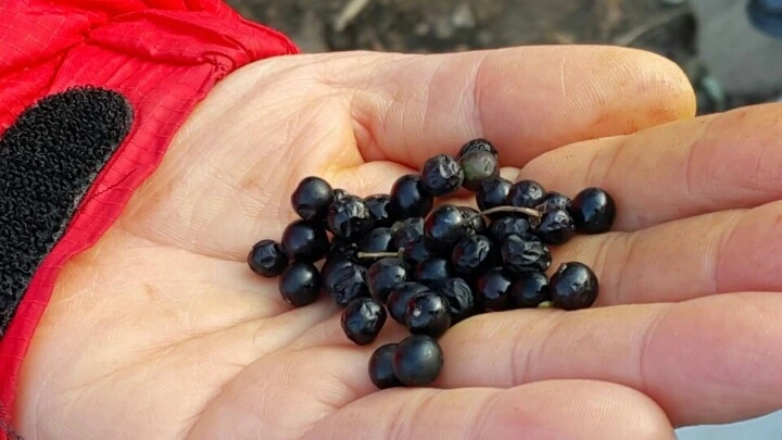 2759A935588EAC26073E4B