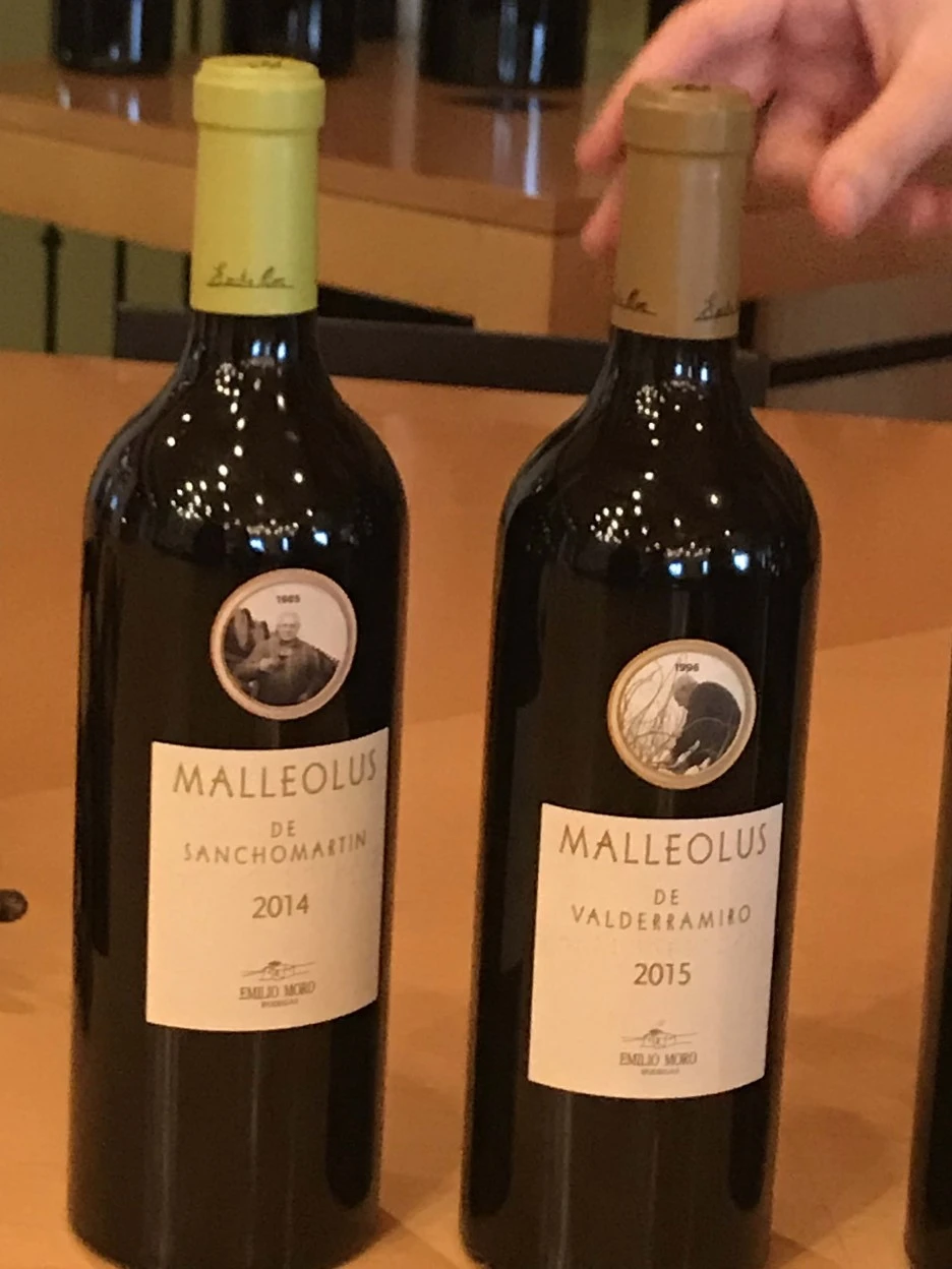 IMG_7886.jpg?type=w1