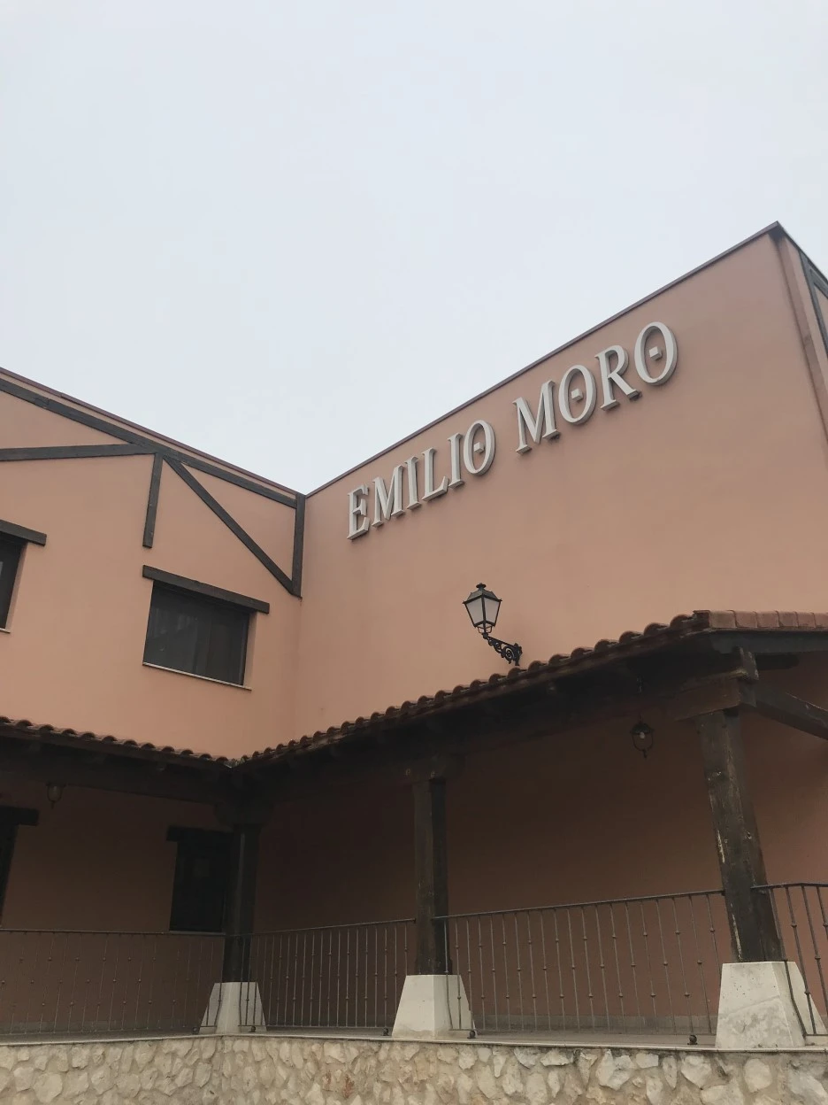 IMG_7879.jpg?type=w1