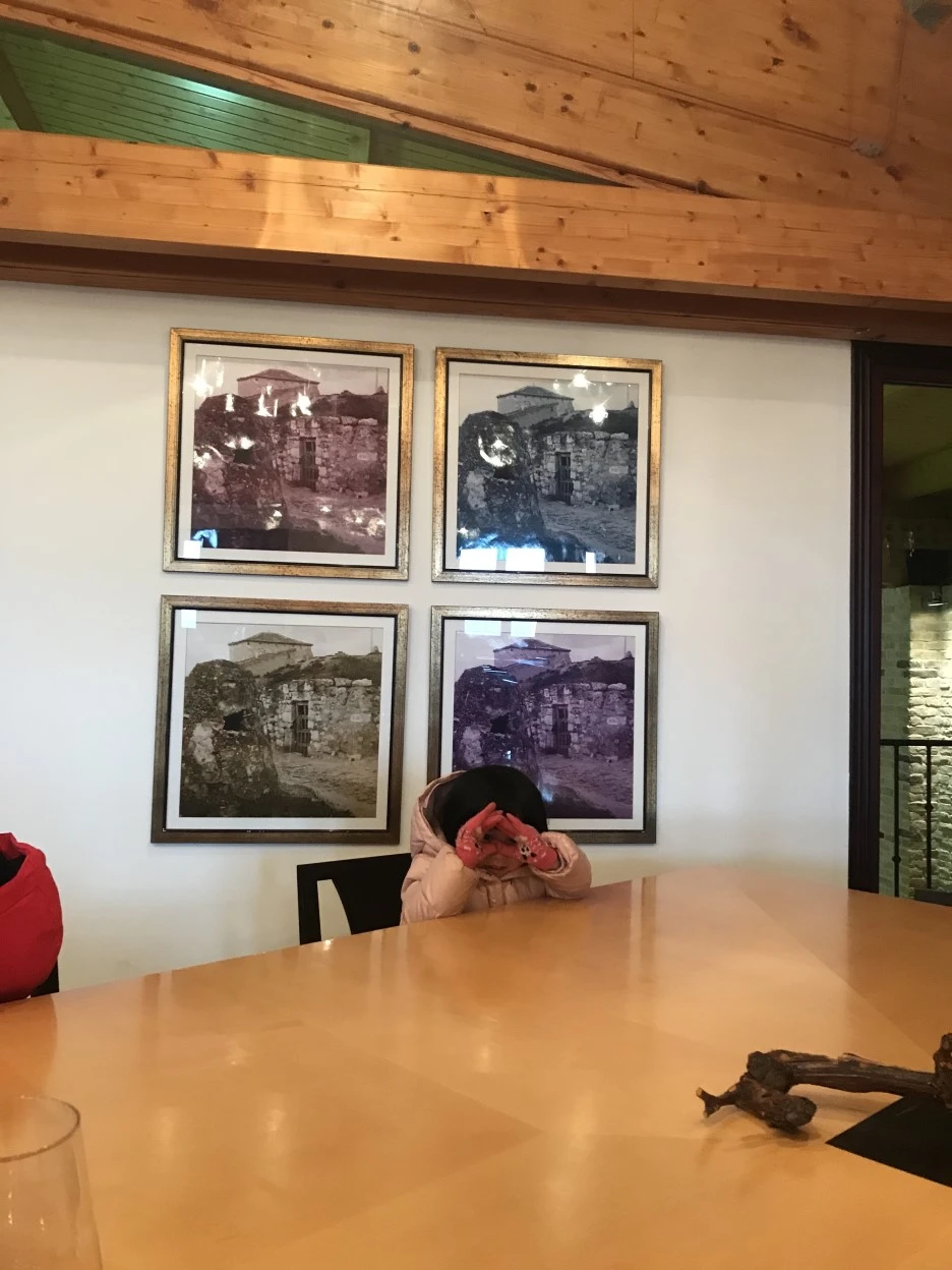 IMG_7883.jpg?type=w1