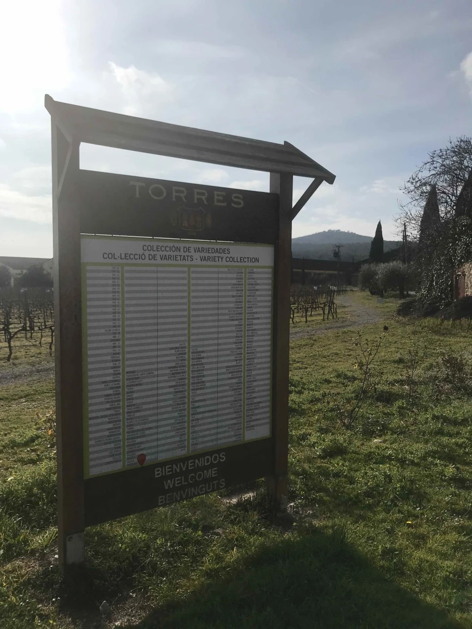 IMG_8080.jpg?type=w1