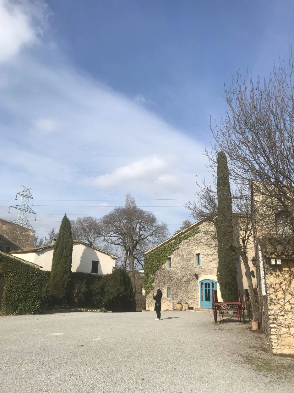 IMG_8081.jpg?type=w1