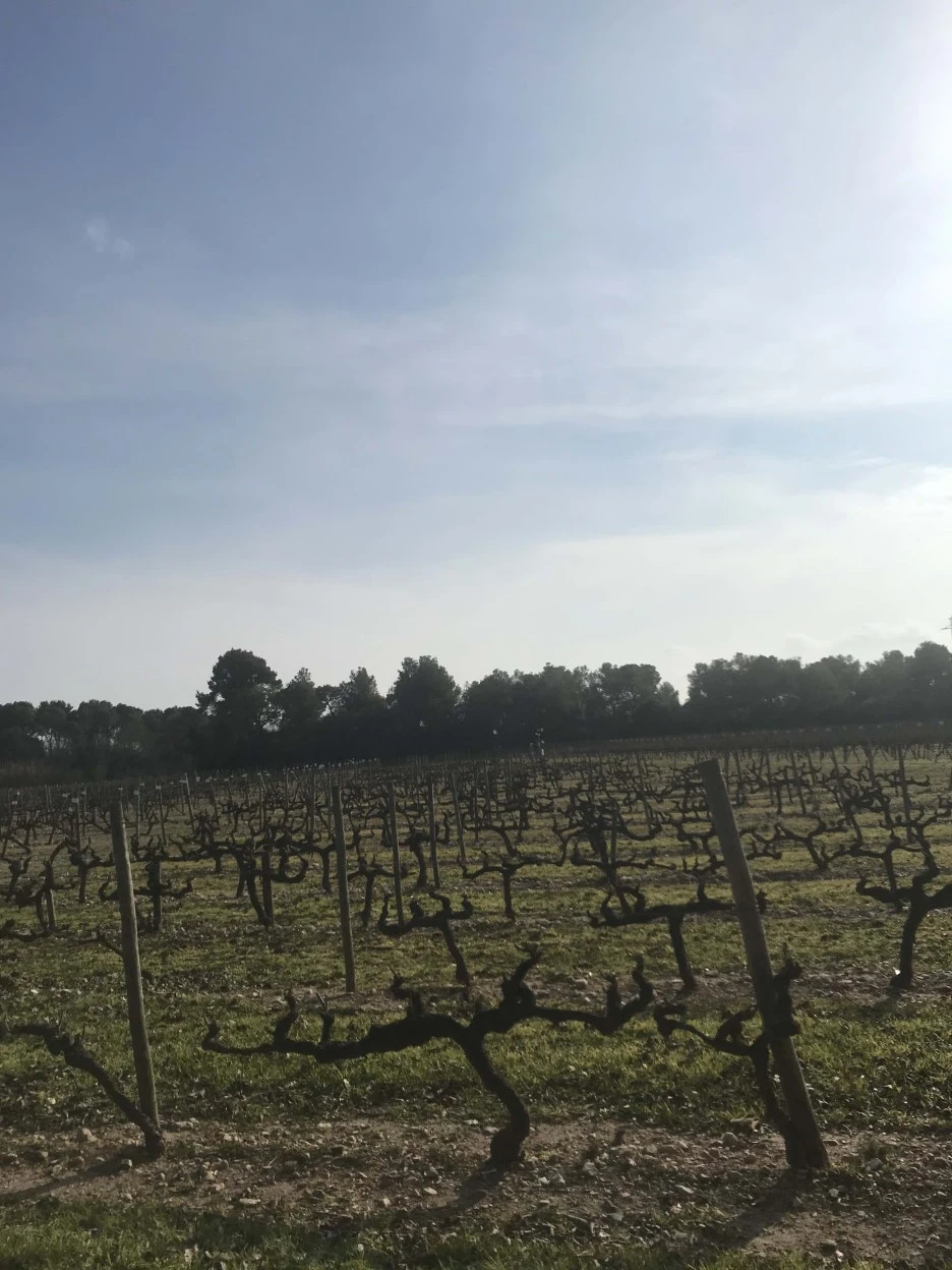 IMG_8076.jpg?type=w1