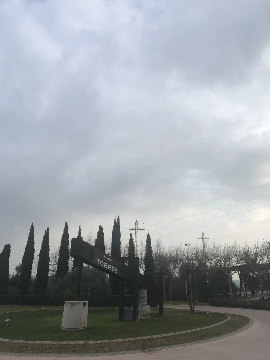 IMG_8097.jpg?type=w1