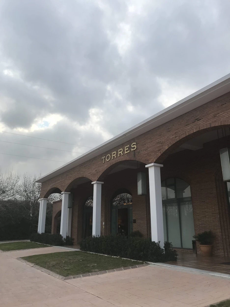 IMG_8096.jpg?type=w1