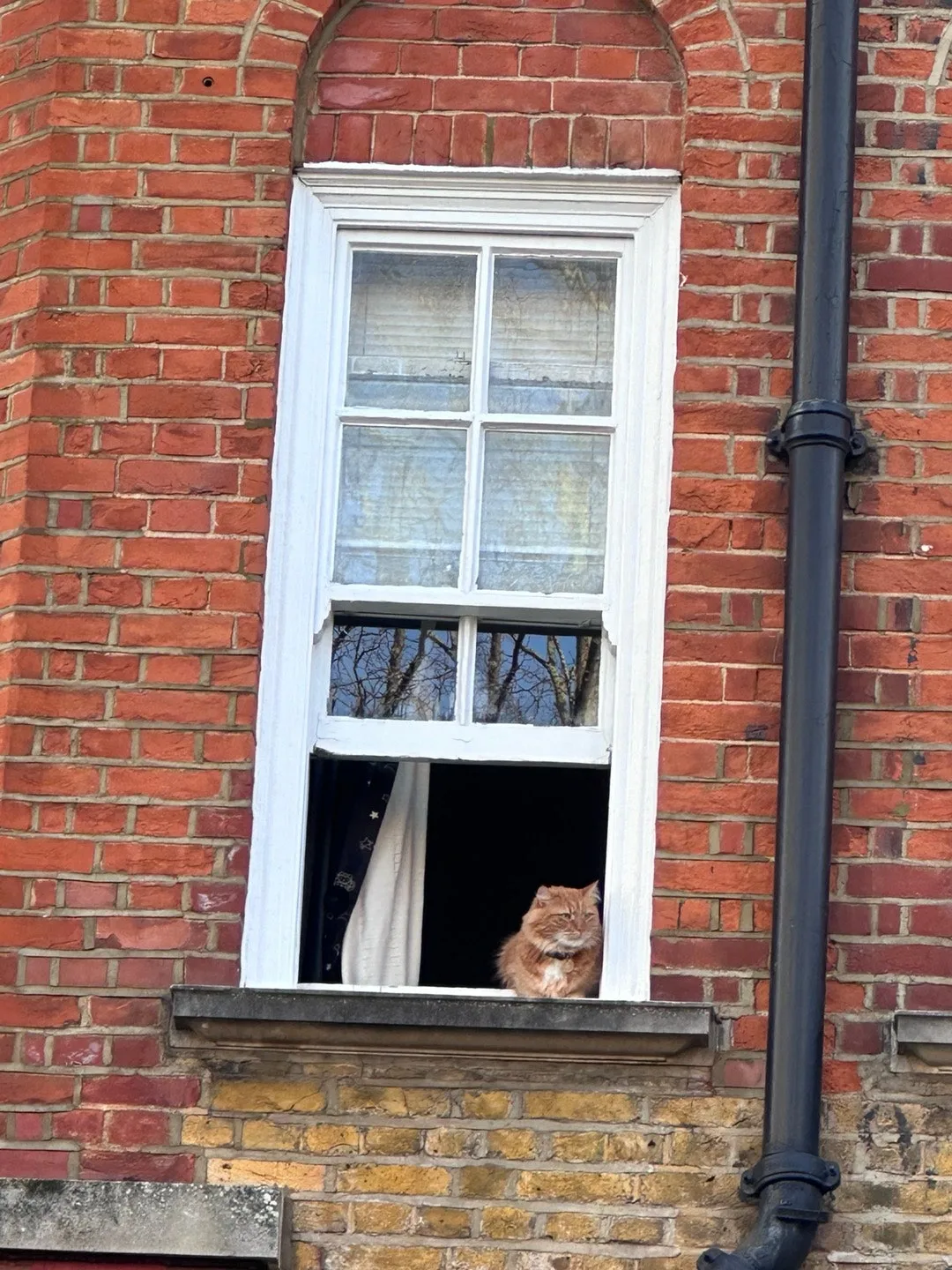 KakaoTalk_Photo_2024-03-01-08-36-57.jpeg?type=w1600