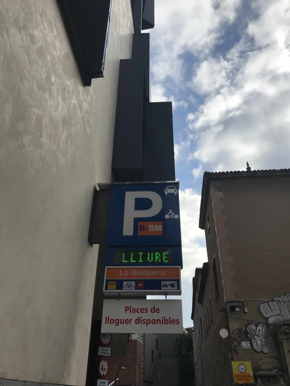 IMG_8006.jpg?type=w1