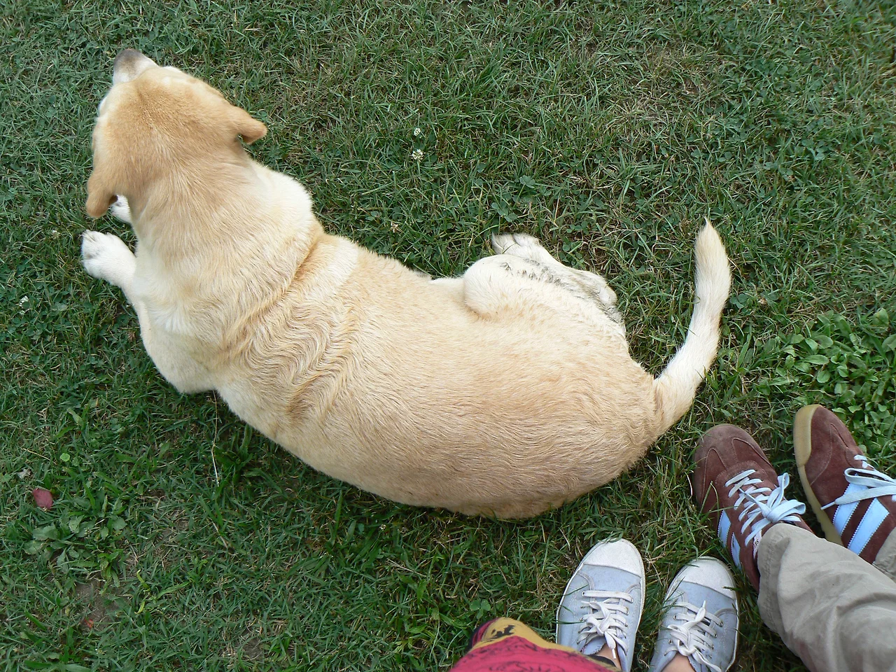 쌩떼밀리옹 (5).jpg