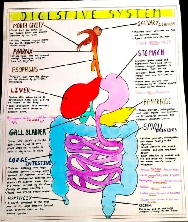 442491980_8183276795057771_7471765678270814163_n.jpg?_nc_cat=100&ccb=1-7&_nc_sid=5f2048&_nc_ohc=X86ySE58MRcQ7kNvgGDLF2Z&_nc_ht=scontent-ssn1-1.xx&oh=00_AYCBzk-zj3l_rEB5e_WcqQNg2JRb6T8_aVJetXiBP9ObkA&oe=6659B616