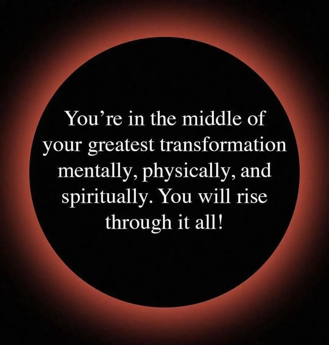 464554010_9134438129941628_2600061062708786993_n.jpg?_nc_cat=103&ccb=1-7&_nc_sid=833d8c&_nc_ohc=ppoV-xec-pIQ7kNvgFJBexX&_nc_zt=23&_nc_ht=scontent.fuln4-3.fna&_nc_gid=A_a1Lb2IS7TeeKqVJoC0VrN&oh=00_AYARGRbWt6aQXFi9DS0fEBaDKr9pgQ012t3ardjMEHnIHg&oe=6722AB6A