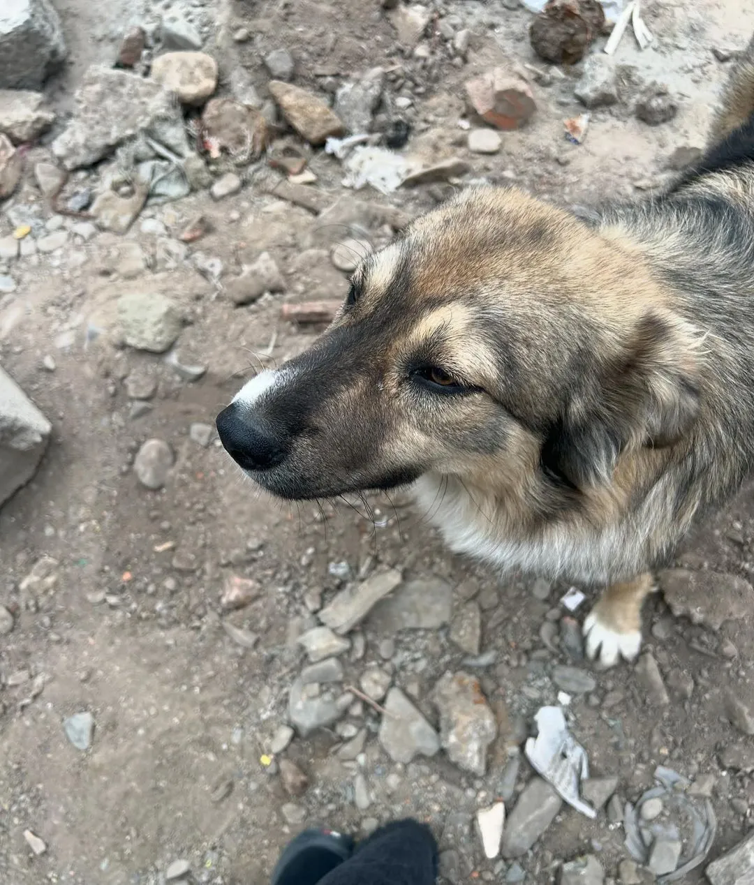 461347067_18460888120022180_5183819358368718556_n.jpg?stp=dst-jpegr_s1080x2048&_nc_cat=108&ccb=1-7&_nc_sid=127cfc&_nc_ohc=D2OMLfl0bIQQ7kNvgFYP0v4&_nc_zt=23&se=-1&_nc_ht=scontent.fuln4-2.fna&_nc_gid=AbNfWldy8K_kYgkKdL8yhAf&oh=00_AYCSN_JSygFQNSMSTHMstSi8A0L4cQ47Hfdk37z_tFmm9g&oe=6722A78E