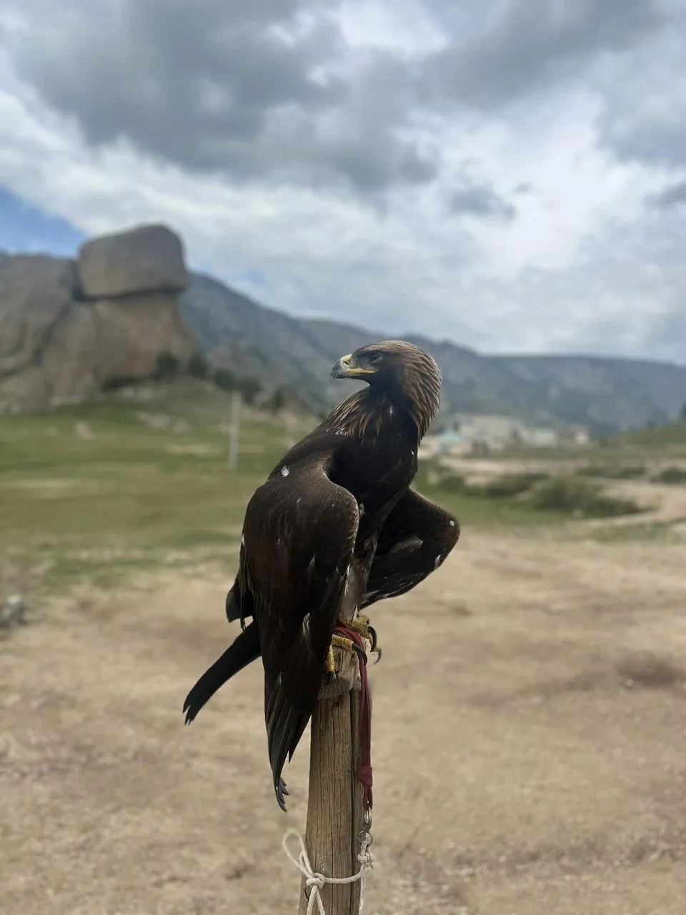 456145341_8671031449615634_3903776730470501350_n.jpg?stp=cp6_dst-jpg_p960x960&_nc_cat=108&ccb=1-7&_nc_sid=833d8c&_nc_ohc=9W2szMHXK5sQ7kNvgFYvuV_&_nc_zt=23&_nc_ht=scontent.fuln4-2.fna&_nc_gid=AJ5FSm2atVC6uh_1tP9IIrh&oh=00_AYDQImC0RF5c3vRfP7WCvuFH07kxPgfvUCTkHM9FVGfJvQ&oe=6722A254