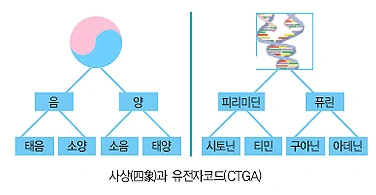 200509_12602_mana59561.jpg?type=w2