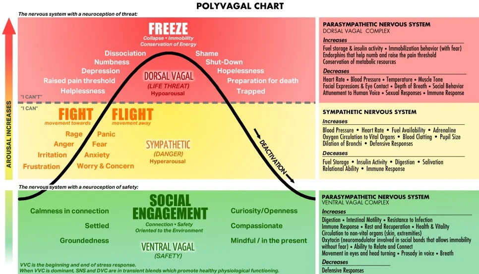 SE-1ac2f115-25b8-4ff0-9333-835ad9437777.jpg?type=w966