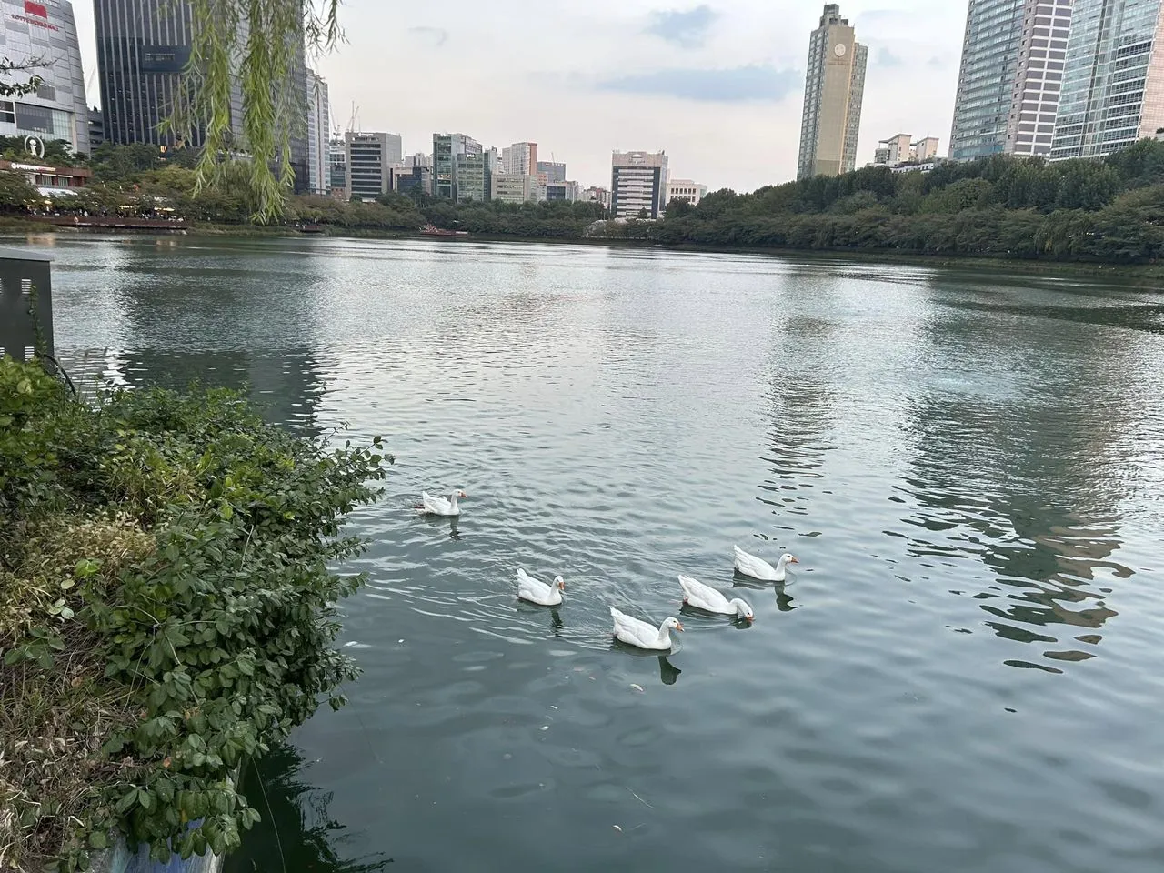 462537725_9047160095336099_3265365592814848414_n.jpg?stp=cp6_dst-jpg_p960x960&_nc_cat=105&ccb=1-7&_nc_sid=833d8c&_nc_ohc=NlaTJoEb2iQQ7kNvgG_q3yK&_nc_zt=23&_nc_ht=scontent.fuln4-2.fna&_nc_gid=AiyEL8SvKfB9DFZrLXiQvZW&oh=00_AYD2i5HLQ8Gkq5sgOBuleeKQZRhbGqSSuGnyTSIDfljD6w&oe=6722B90A