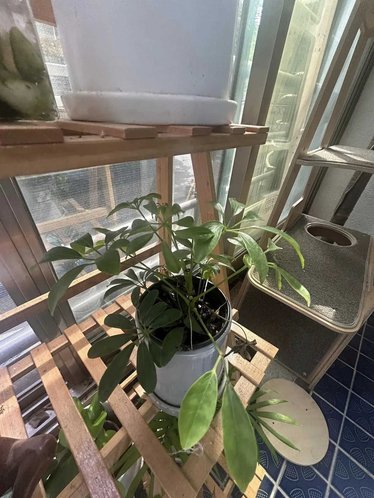 443837128_8179139408804843_6954595907567985938_n.jpg?stp=cp6_dst-jpg&_nc_cat=105&ccb=1-7&_nc_sid=5f2048&_nc_ohc=MaE7kgvL9R4Q7kNvgEzicEV&_nc_ht=scontent-ssn1-1.xx&oh=00_AYB56jxStPpOQ_PsMMmOrvBffgMNcX7Ugn6Ug17vs1seeA&oe=6659B4F2