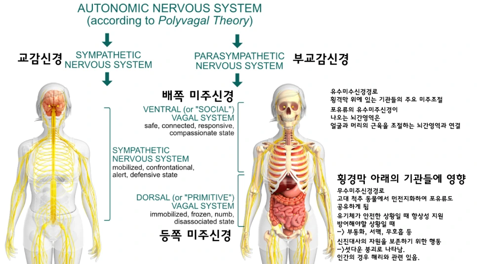 %EB%8B%A4%EB%AF%B8%EC%A3%BC%EC%8B%A0%EA%B2%BD.png?type=w966