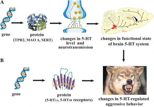 AD_4nXcSpf5lBDpjGVE3apZehSweut9cOthZftykAavfcqkJieJwRc10fClfMUglmJkQrSiX7snnT2VuR5N8iZfm2mzXnsjylUYSR_eBnL6MndxrDabLMSHFTFvK7aqH54FxNHtLxYeiYg?key=-ad-URmvy6J9WKMi109cTgW4