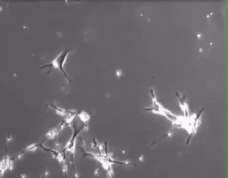 AD_4nXesHYexzxhe2dyg69pkwlOfiSCagwupZvXtSjdKVXg6tm3-97dj-yiRreXeiJFriKC4RxMRsu80hViRLebCcZaGE1m9Xb5cRFQDfR8_cQ4OsSBAMJ8xCxLrgwJY3wAk_dprT1YeKA?key=-ad-URmvy6J9WKMi109cTgW4