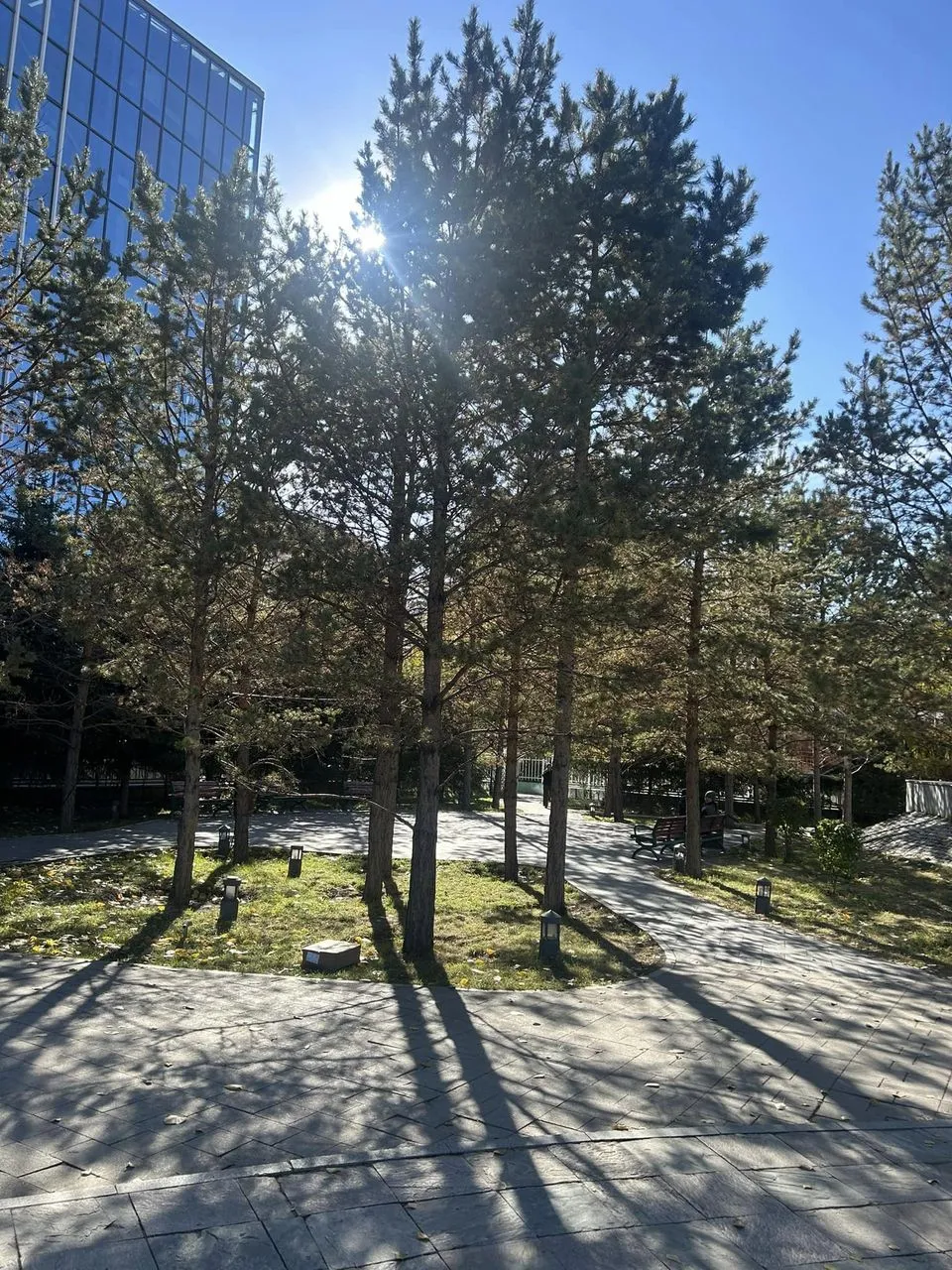 461798329_8957456744306435_1535544461364675550_n.jpg?stp=cp6_dst-jpg_p960x960&_nc_cat=111&ccb=1-7&_nc_sid=833d8c&_nc_ohc=NxN9UEg_mYgQ7kNvgEWa6N0&_nc_zt=23&_nc_ht=scontent.fuln4-3.fna&_nc_gid=AehP3iD9gjrUIp-Wki762Mg&oh=00_AYBVf1qAuyZY3FmqldkR8vERp1JEO1lM_RKMeWZe6Il8dw&oe=6722B43B