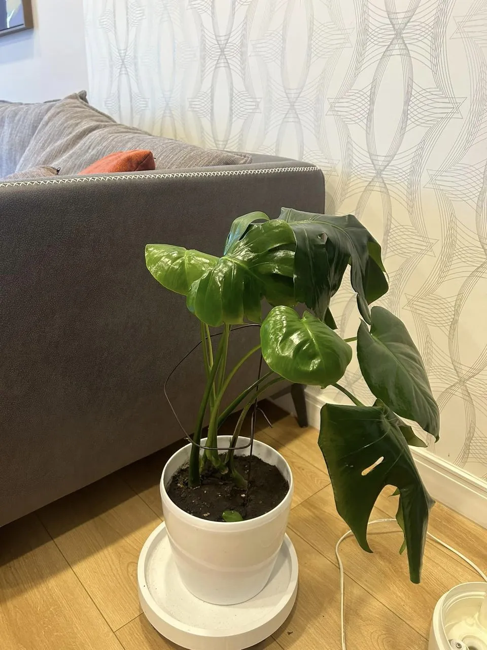 459315077_8803845179667593_1946236730807574714_n.jpg?stp=cp6_dst-jpg_p960x960&_nc_cat=105&ccb=1-7&_nc_sid=833d8c&_nc_ohc=DzC4xDZz5L0Q7kNvgHNjDFl&_nc_zt=23&_nc_ht=scontent.fuln4-2.fna&_nc_gid=At6-EsS_PvqpRukt3HICcL6&oh=00_AYAdnC7DBhJf1LCR7XVfSL9Hwv8g1QHsgywUub-zZXSrBQ&oe=6722B47F