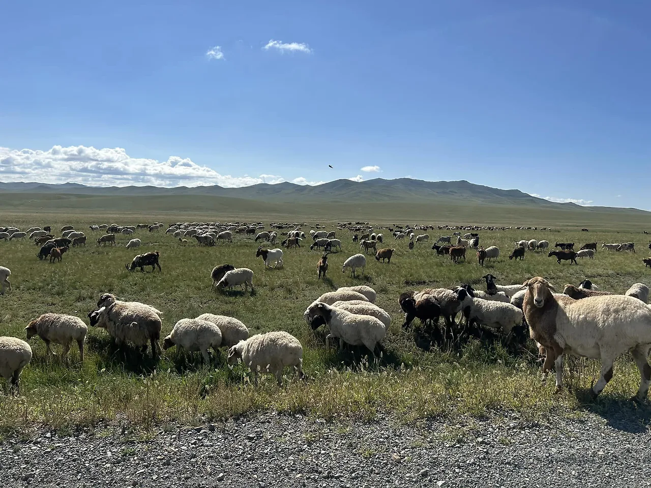 456602980_8671030169615762_3006346672588665007_n.jpg?stp=cp6_dst-jpg&_nc_cat=101&ccb=1-7&_nc_sid=833d8c&_nc_ohc=wNH9CW5dossQ7kNvgHkEk-h&_nc_zt=23&_nc_ht=scontent.fuln4-2.fna&_nc_gid=AyFGLgTJxAWzHXYu0dajcYg&oh=00_AYDT4093PFZcX3ggi5_hZ0xg4R546jtELtZyY7K0PQGr0A&oe=67229C42