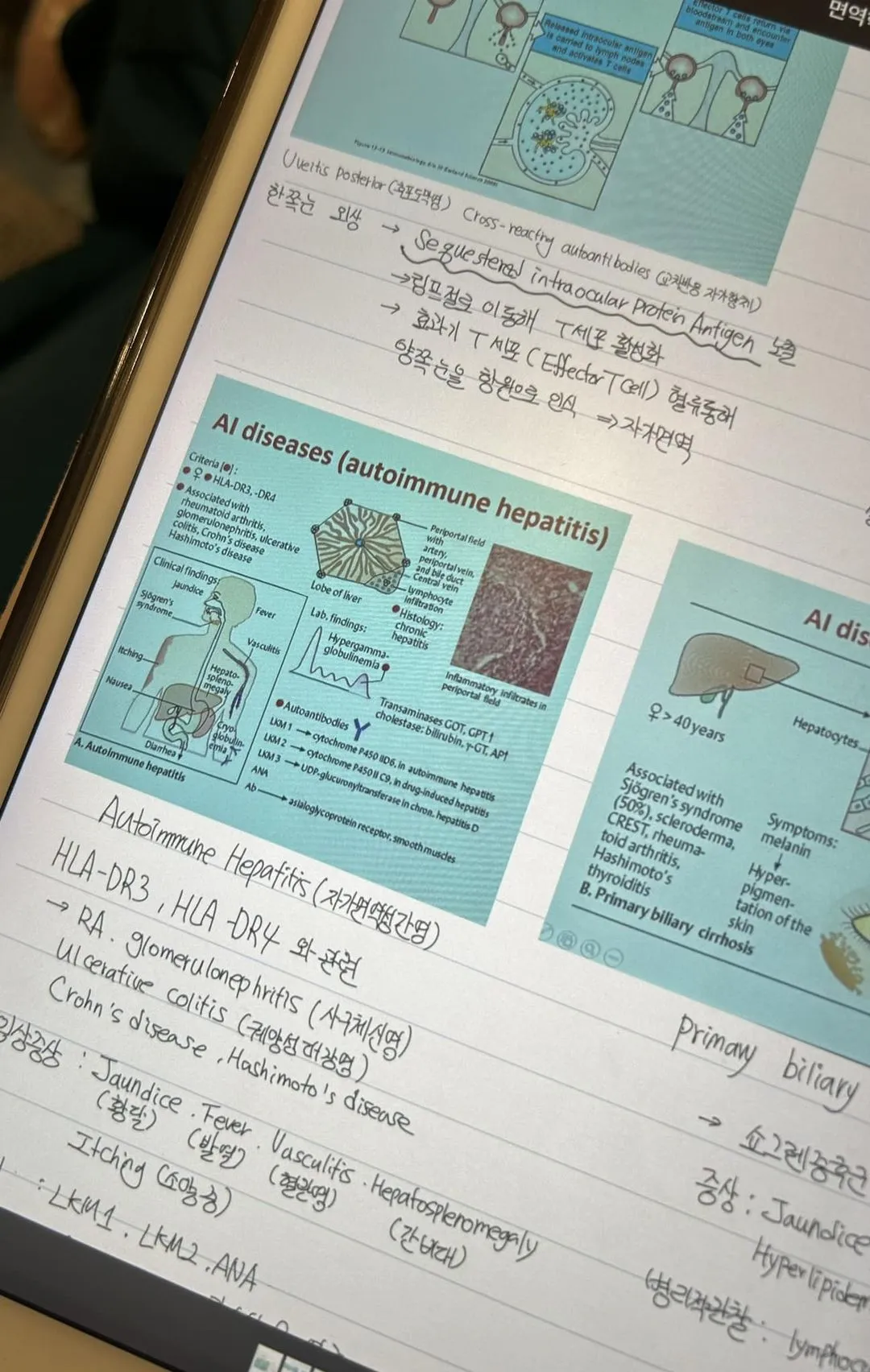 460490397_8851743718211072_8506824404162762443_n.jpg?stp=cp6_dst-jpg_s1080x2048&_nc_cat=108&ccb=1-7&_nc_sid=833d8c&_nc_ohc=eiNvO-hgx58Q7kNvgFpiSgU&_nc_zt=23&_nc_ht=scontent.fuln4-2.fna&_nc_gid=AAS_NtypaXgy7_G8tSnZOx9&oh=00_AYBYCQfuSJoV_SfchIWFm8DU6axIMLhqdcMJmpUnQKqCYQ&oe=67228CCC