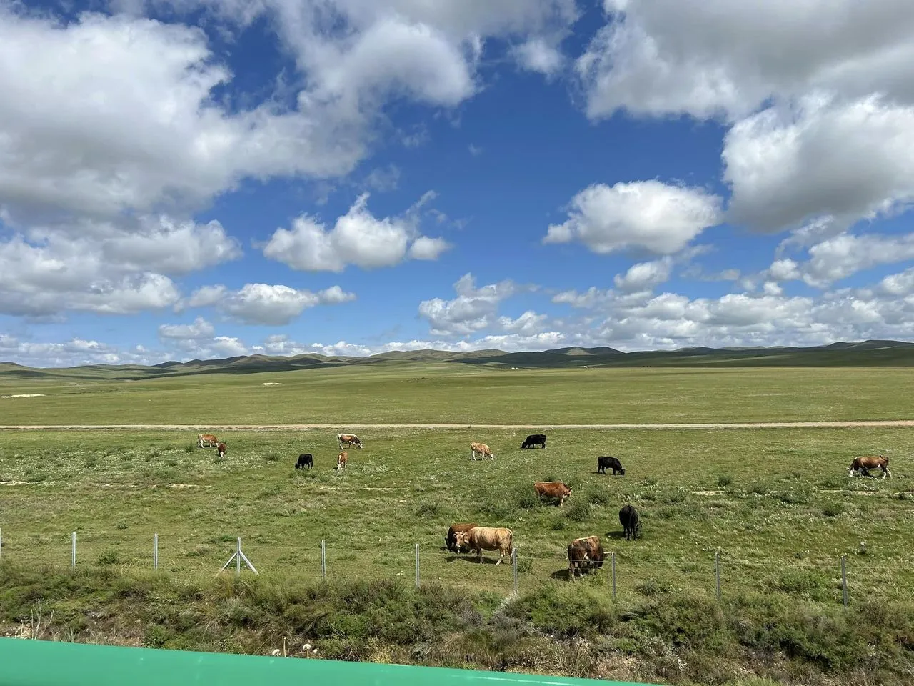 456762355_8671029259615853_4547333420585245107_n.jpg?stp=cp6_dst-jpg_p960x960&_nc_cat=102&ccb=1-7&_nc_sid=833d8c&_nc_ohc=ZQV0xl8Uzc4Q7kNvgHhBpQ3&_nc_zt=23&_nc_ht=scontent.fuln4-3.fna&_nc_gid=AJ5FSm2atVC6uh_1tP9IIrh&oh=00_AYBya_6sm5Sb5rTH9gvl0jdcOtAnjlwhqKlIBvGh1AuO5g&oe=67229F50