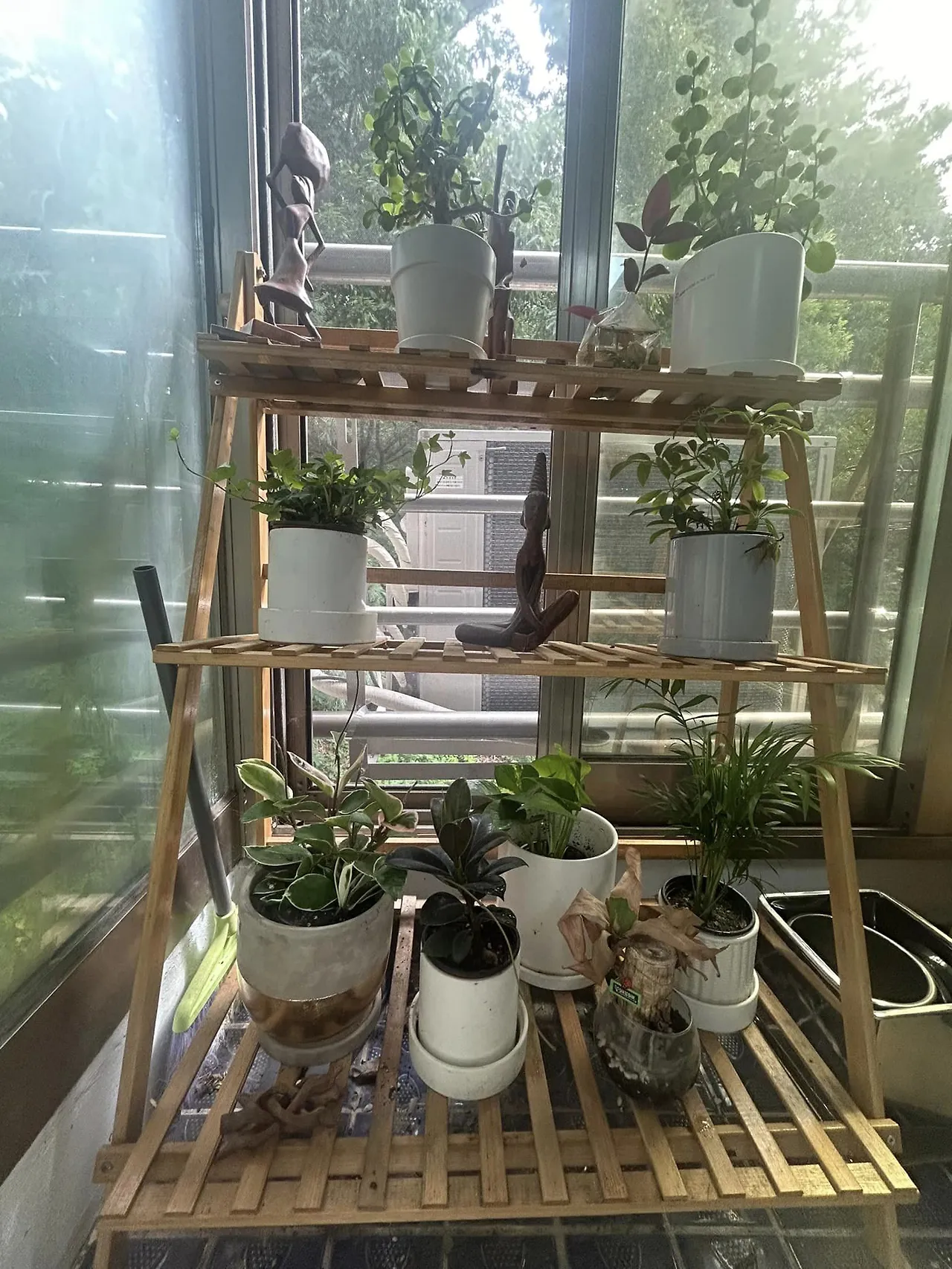 443838170_8179138842138233_2615763090620515636_n.jpg?stp=cp6_dst-jpg&_nc_cat=105&ccb=1-7&_nc_sid=5f2048&_nc_ohc=t_eHCBRZfDwQ7kNvgHoQgl4&_nc_ht=scontent-ssn1-1.xx&oh=00_AYCyEdK7_fIi6p--WlMJ5MJokFfSWxiFyw_t9S3vs3IsOw&oe=6659BC97