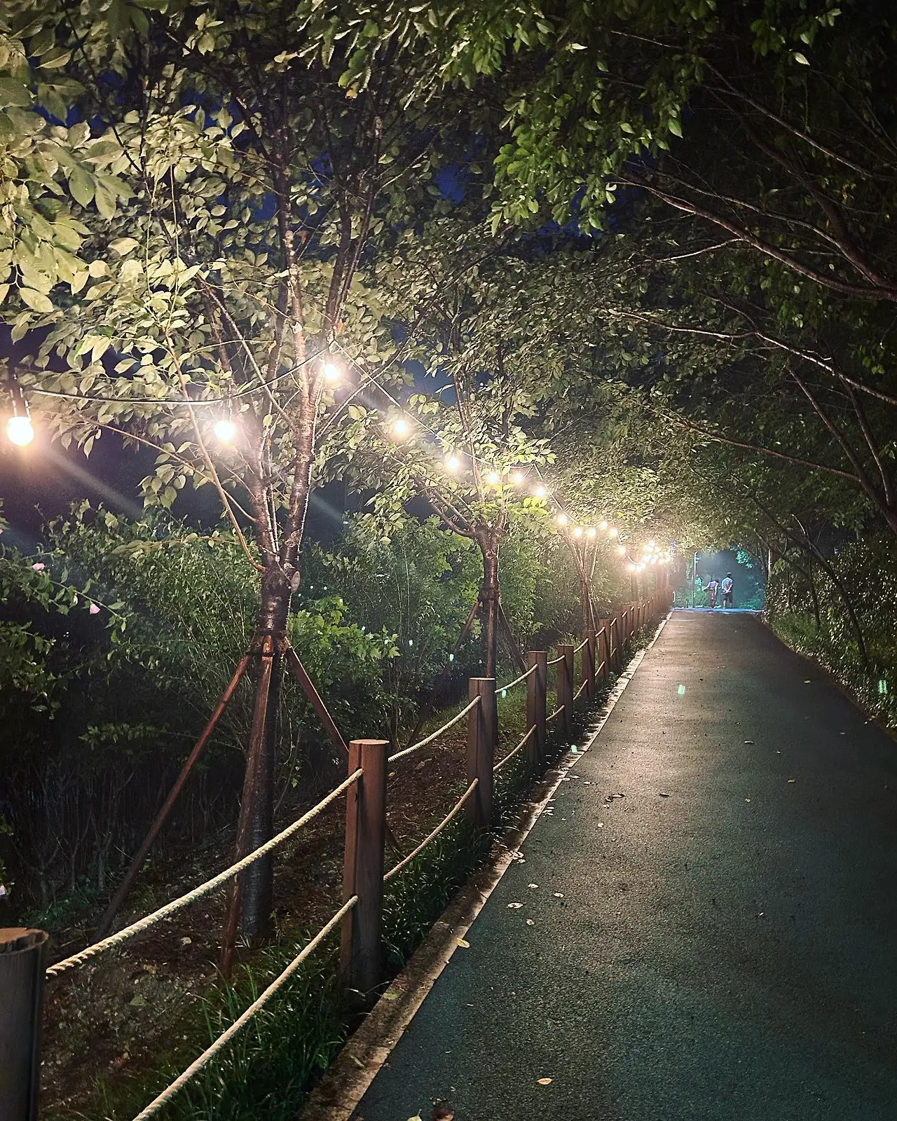 359494338_6943046929080770_3524794838602036548_n.jpg?_nc_cat=108&cb=99be929b-59f725be&ccb=1-7&_nc_sid=730e14&_nc_ohc=hYtimf1zu2IAX95UG6y&_nc_ht=scontent-ssn1-1.xx&oh=00_AfCg_ypIGHMHMCyltaQ60VreS0vlwjYOm61nf-Q_aos4FA&oe=64B1F6A7